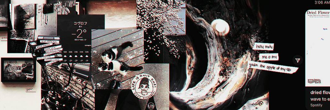 ᅠ‍𝒗𝒊𝒏𝒏𝒊𝒆.ᐟ banner