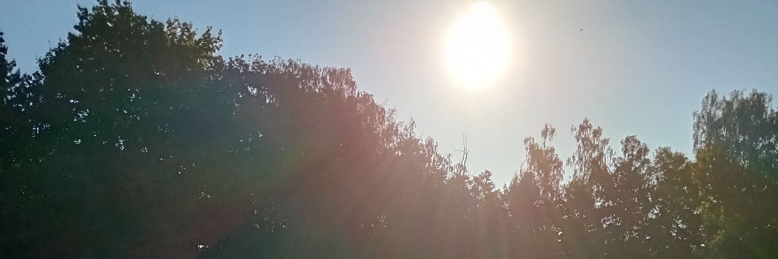 alfajirka's profile banner image