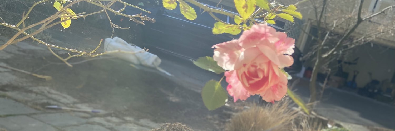 aidablaze_'s profile banner image
