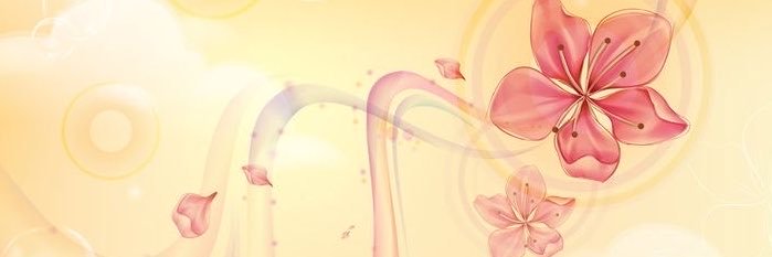 gnabyiyi's profile banner image