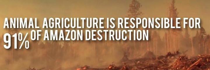 Stop Vivisection banner