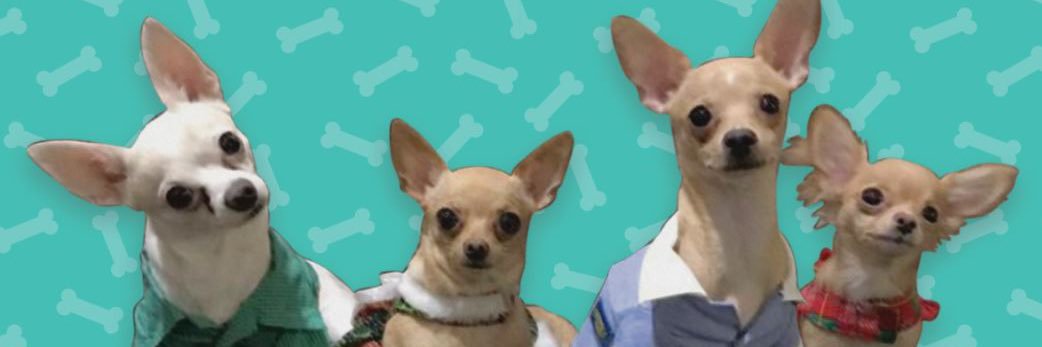 jennelee17's profile banner image