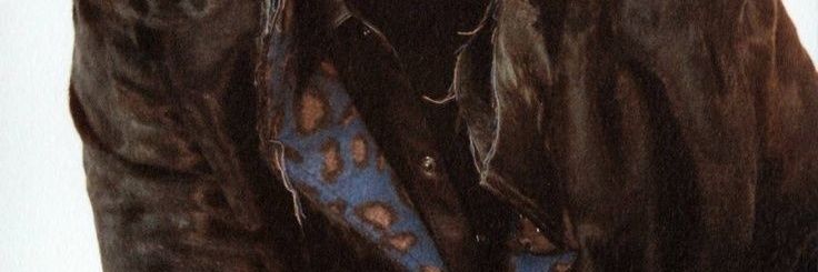 _dh93shr's profile banner image