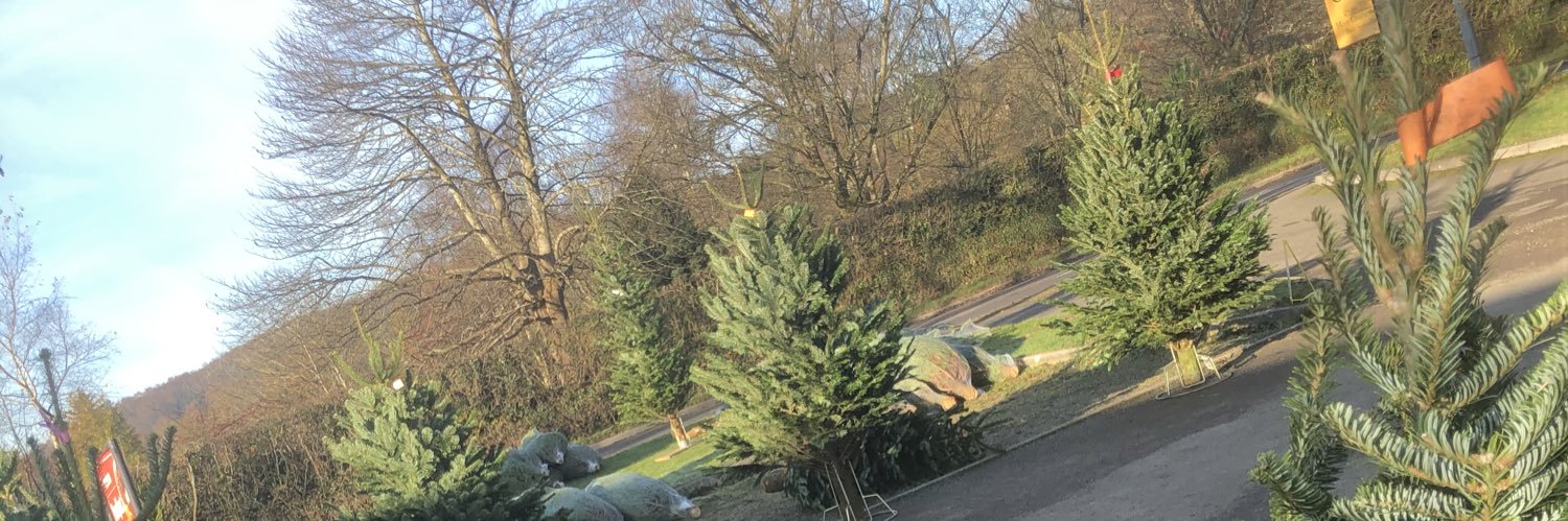 A-G Christmas Trees banner