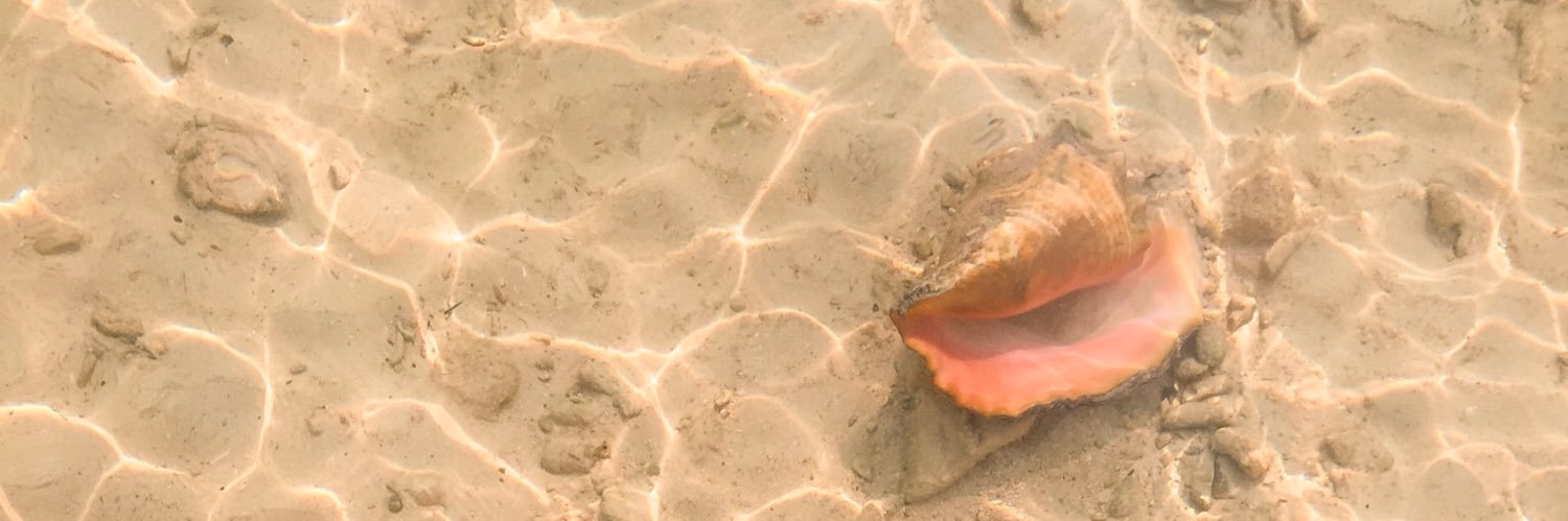 melifreckles's profile banner image