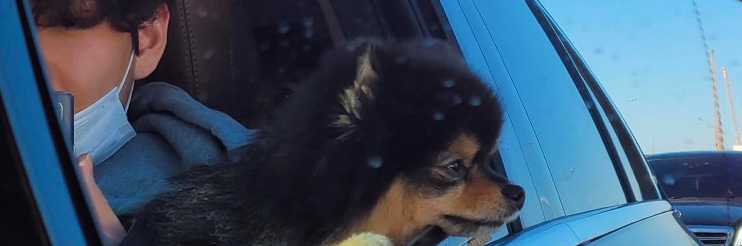 ︎ ︎디민 banner