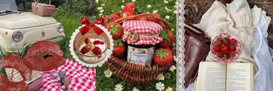 softiles • fsr wa🧚🏻‍♀️ banner