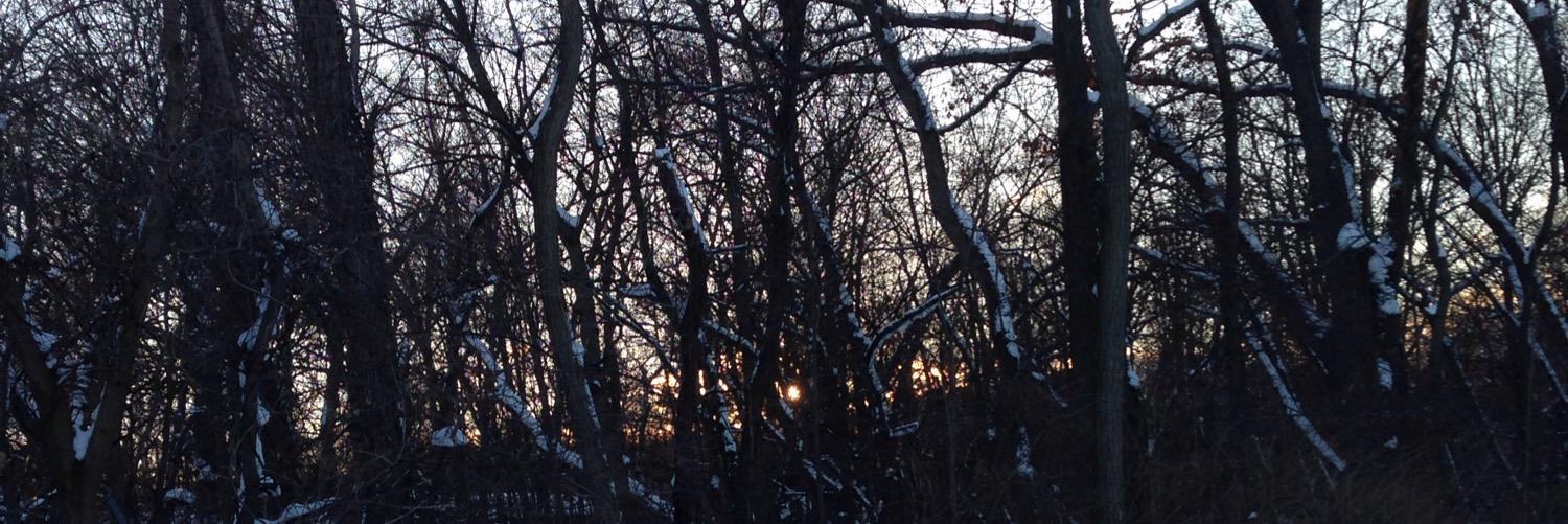 eLPy17's profile banner image
