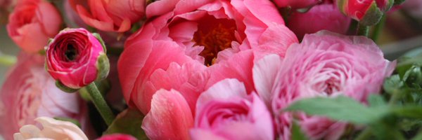 DesignPolice Profile Banner