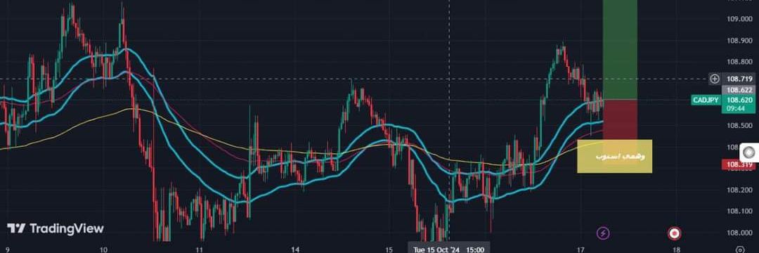 FOREX_566's profile banner image