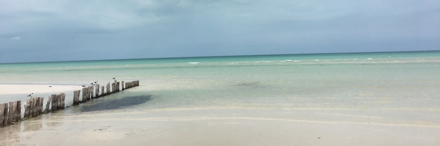 anabrima's profile banner image