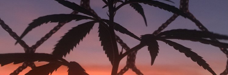 bartasevicius's profile banner image