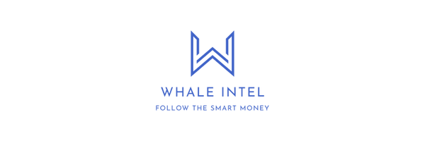 WhaleintelAI Profile Banner
