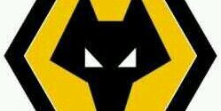 wolfjon21's profile banner image