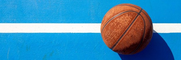 Bàsquet AESE banner