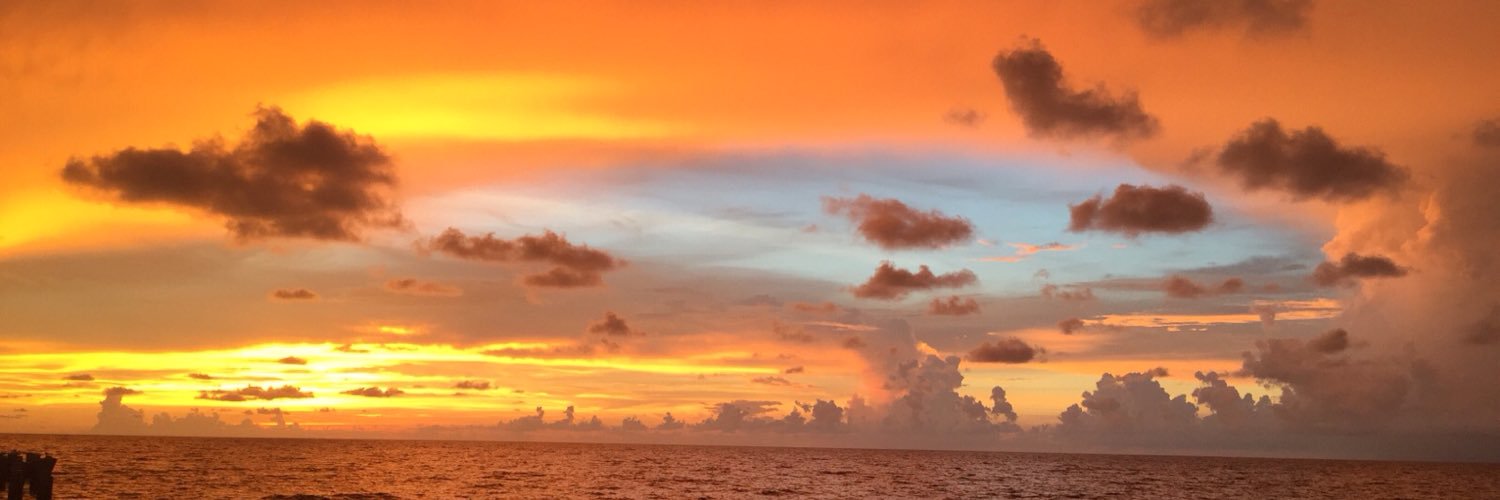 msMiaNina's profile banner image
