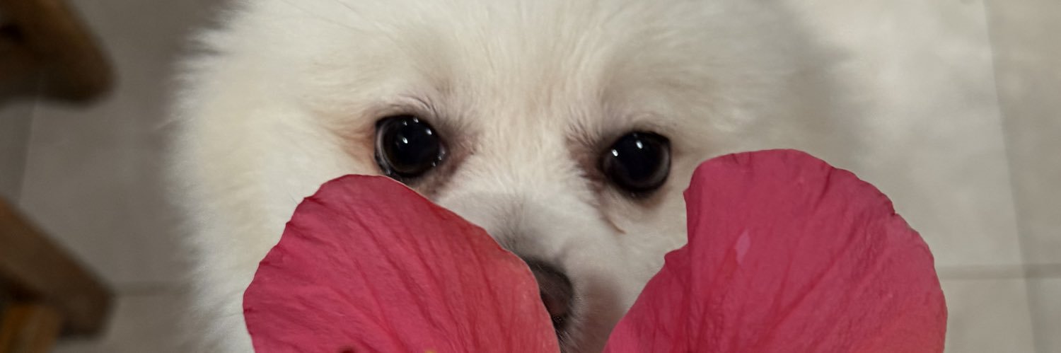 banananbrain's profile banner image