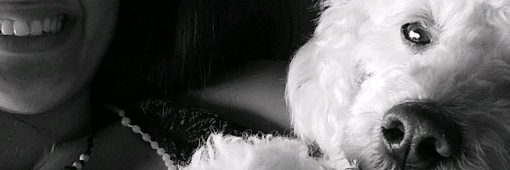 rgby2002's profile banner image