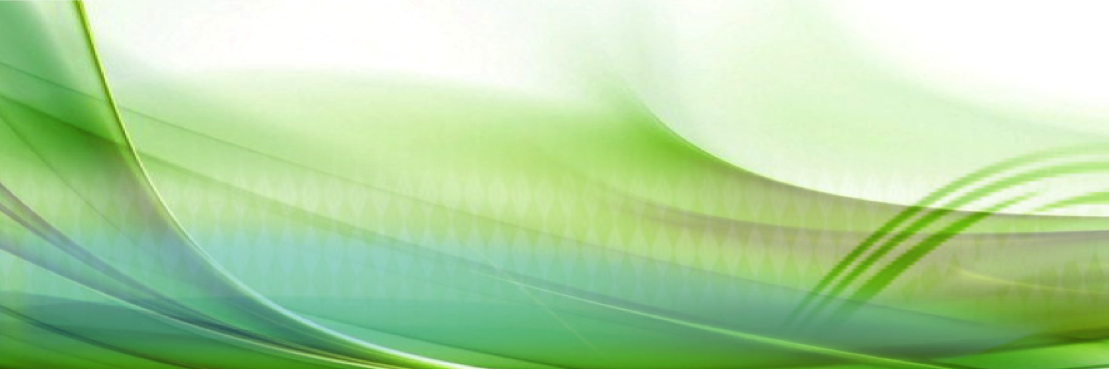 lausantangelo's profile banner image