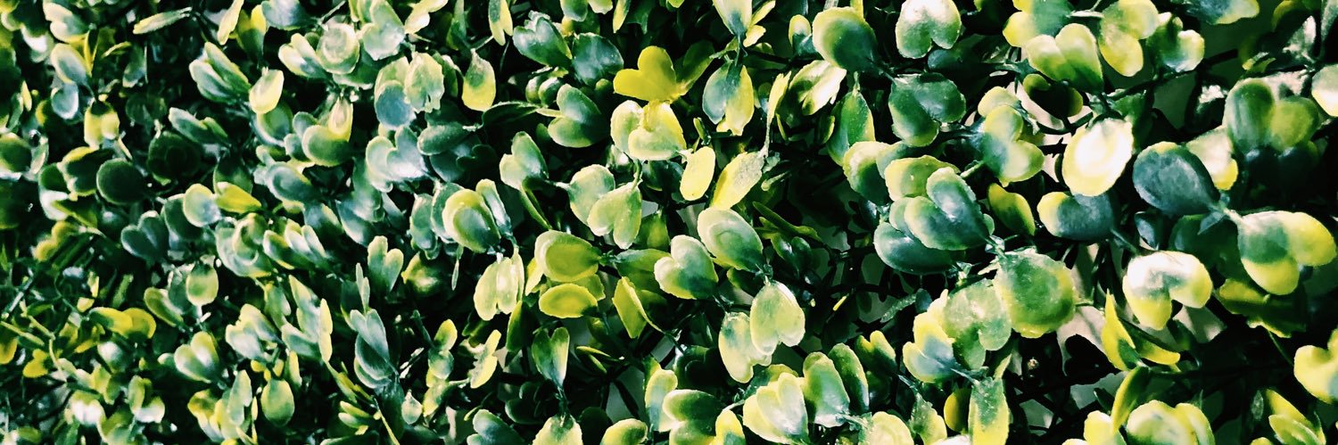 psheffdesigns's profile banner image