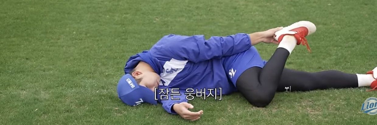 니아 banner