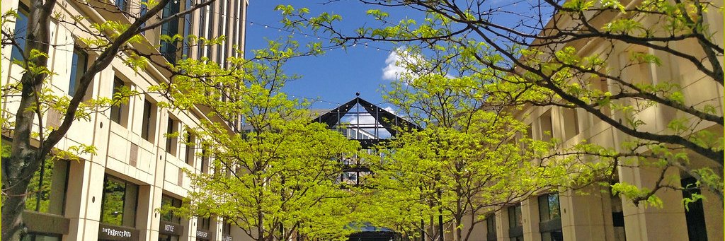 Institute for Indo-Pacific Security banner