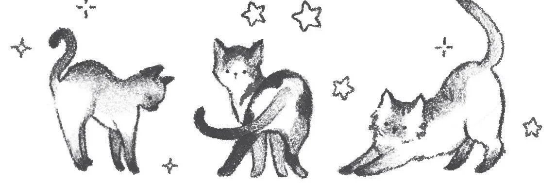 dais_iys's profile banner image