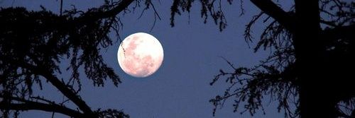 Moon🌛 banner