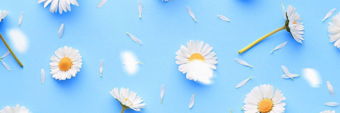 laurelce's profile banner image