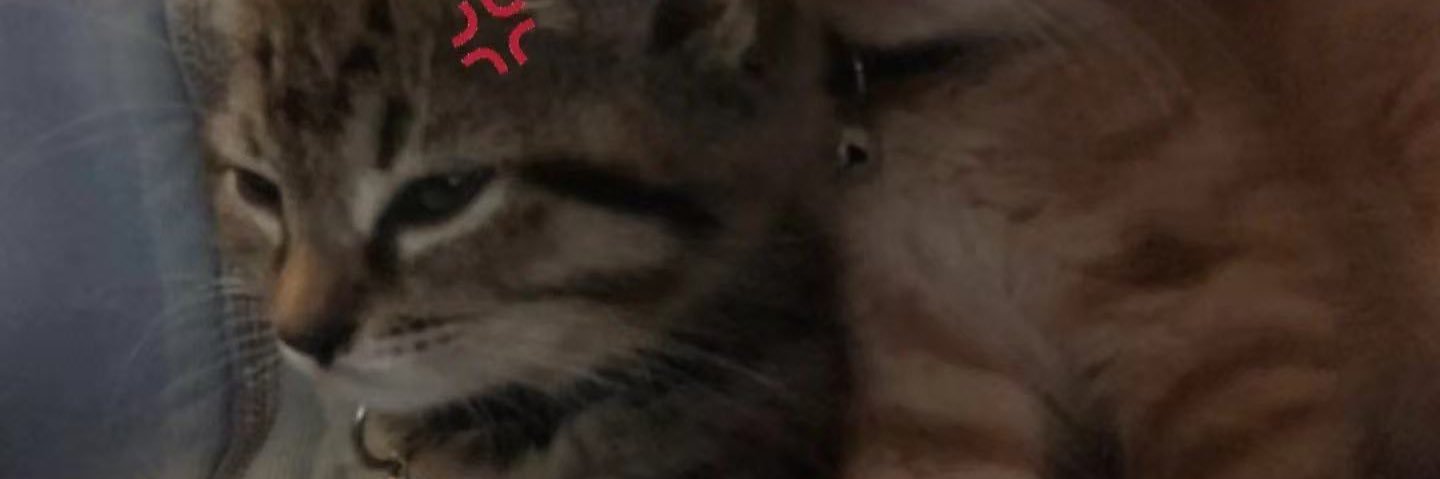 12 banner