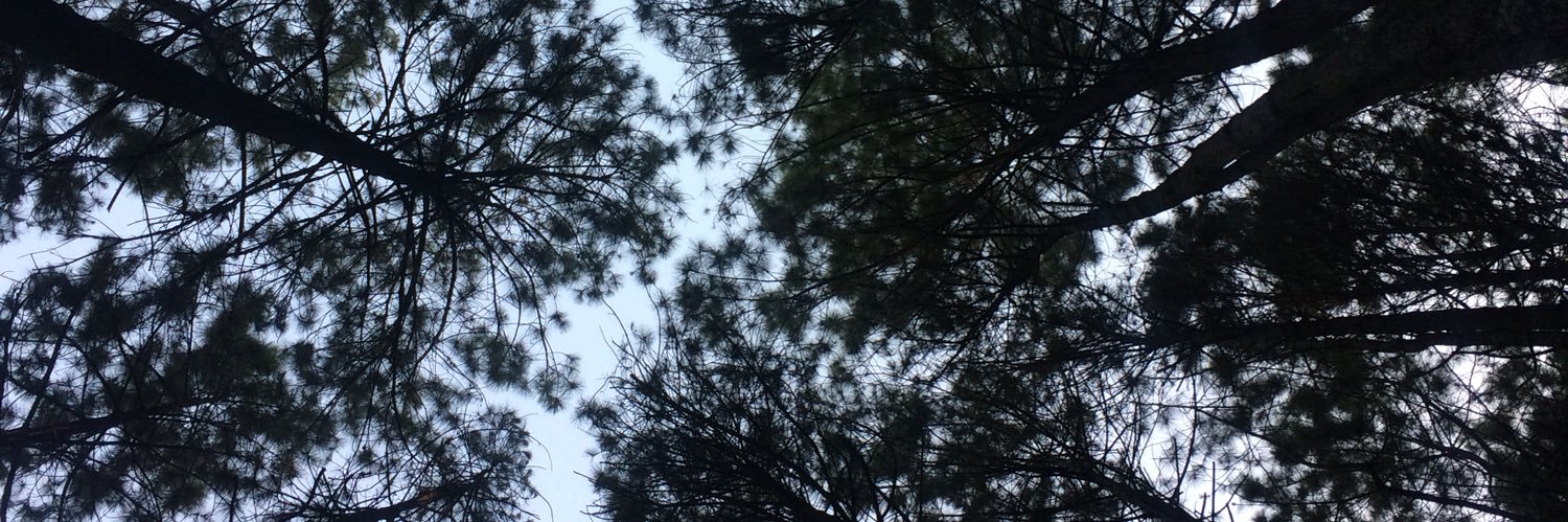 melanni105's profile banner image