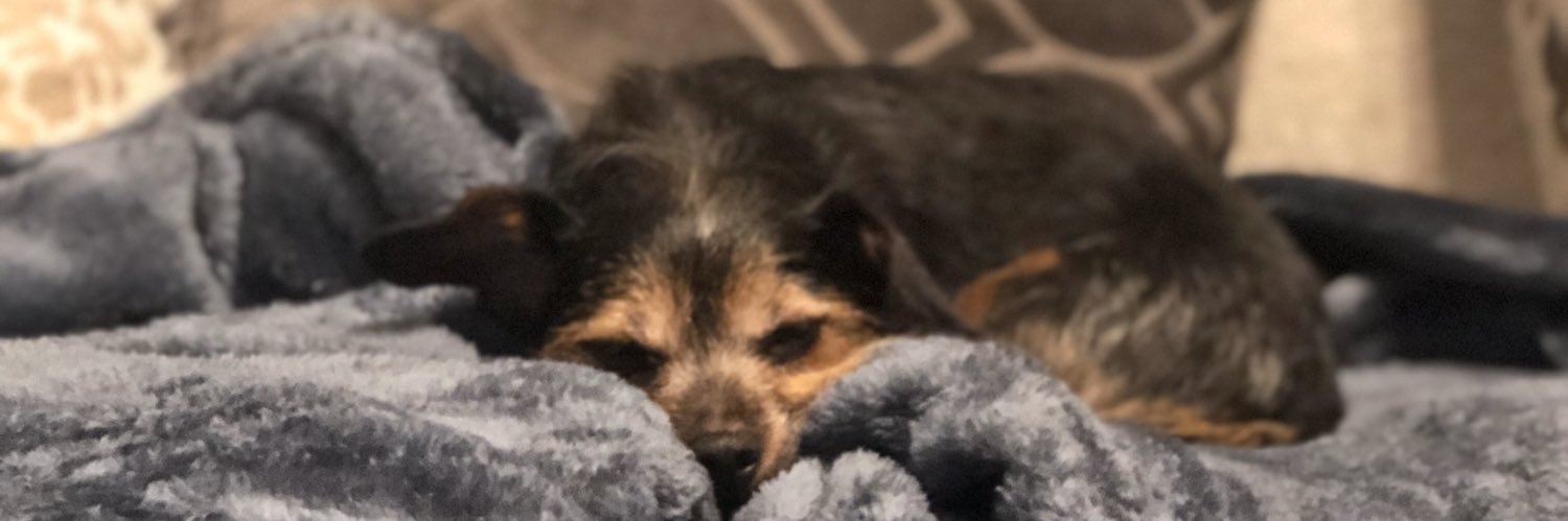 Haleyhardwick1's profile banner image