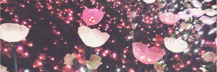 0710Azuki's profile banner image