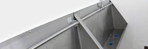 Augusto banner