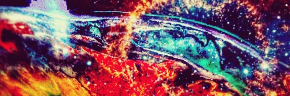 flaysieroof's profile banner image