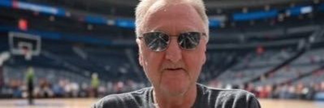 In a zone🐑 banner