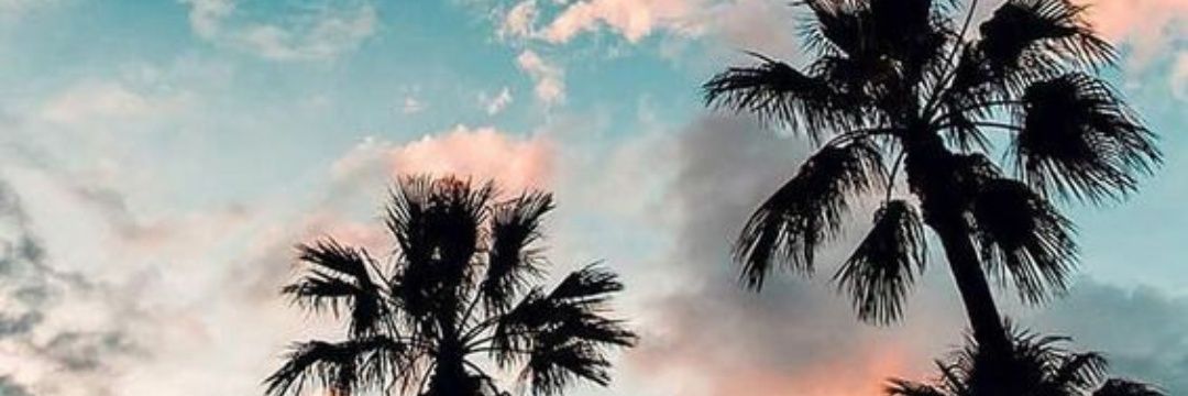 Linafernandarv's profile banner image