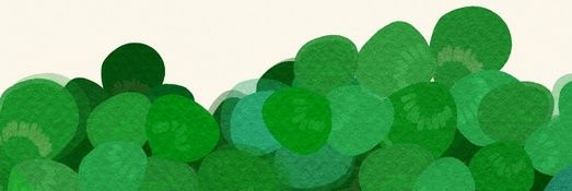 puni_doru's profile banner image