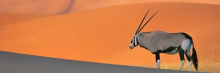 efeanukolom's profile banner image