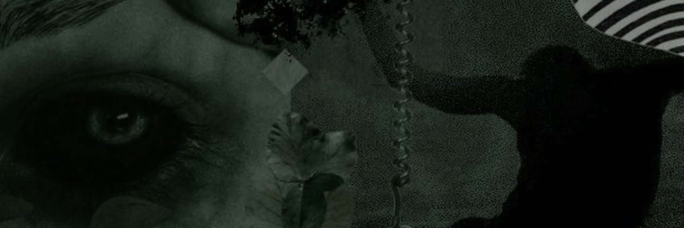 💀_-Wither-_💀 banner