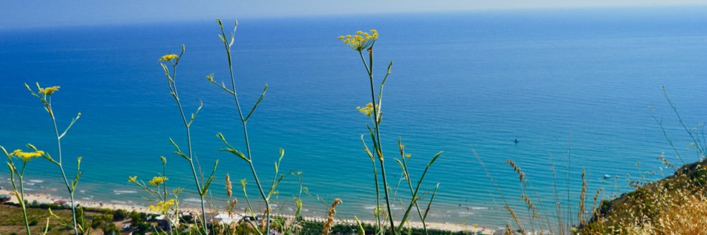 C_a_m_ille's profile banner image