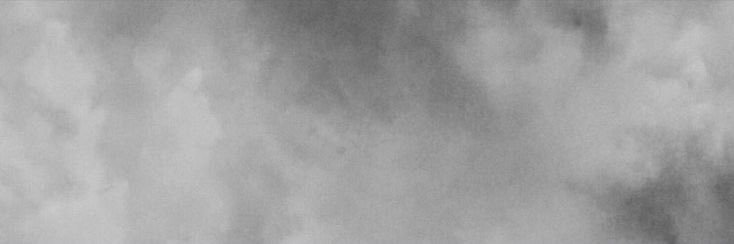 ola banner