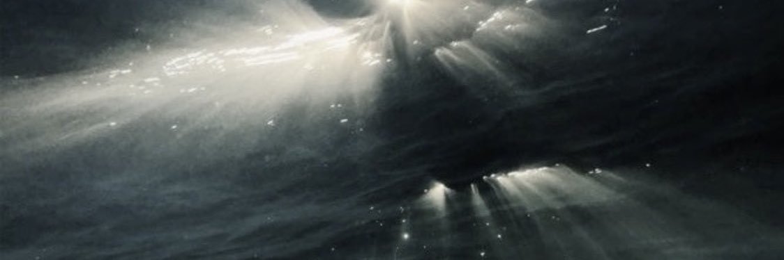 yurpyup banner