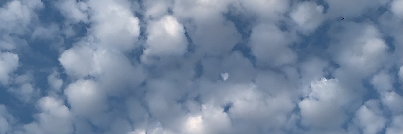 yo_traceey's profile banner image