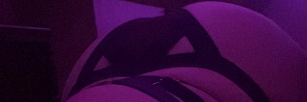 Princess Kitty (170/$500) banner