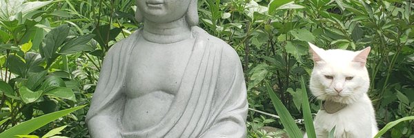 Cbp8Cindy Profile Banner