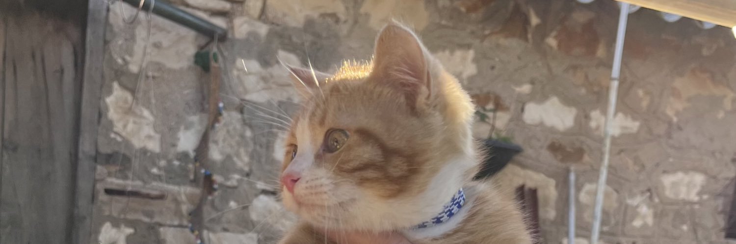 burakinann's profile banner image