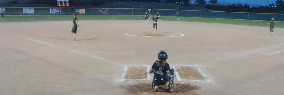 KC Phoenix Fastpitch banner