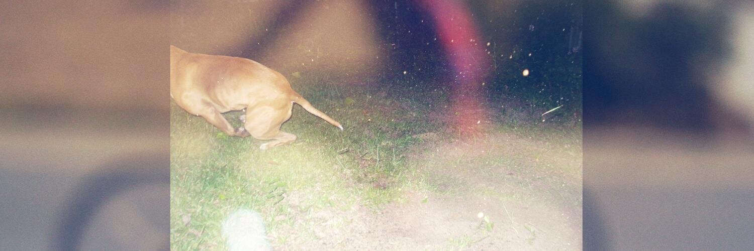 kajeylolo's profile banner image