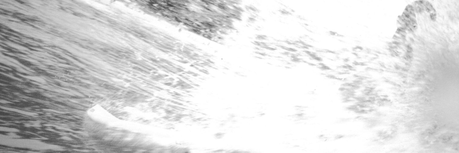 Oliver Reinis banner